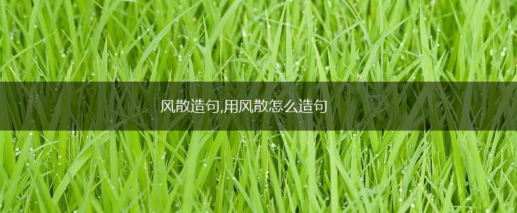 风散造句,用风散怎么造句,第1张