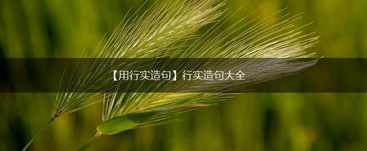 【用行实造句】行实造句大全,第1张