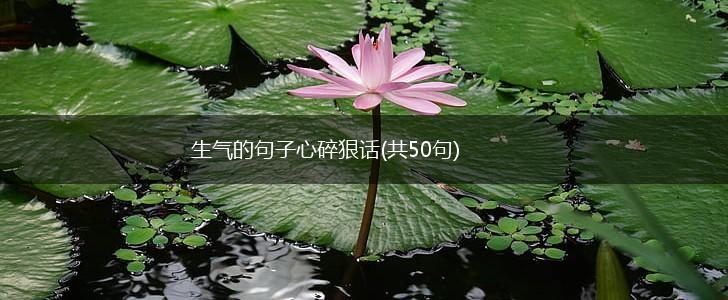 生气的句子心碎狠话(共50句),第1张