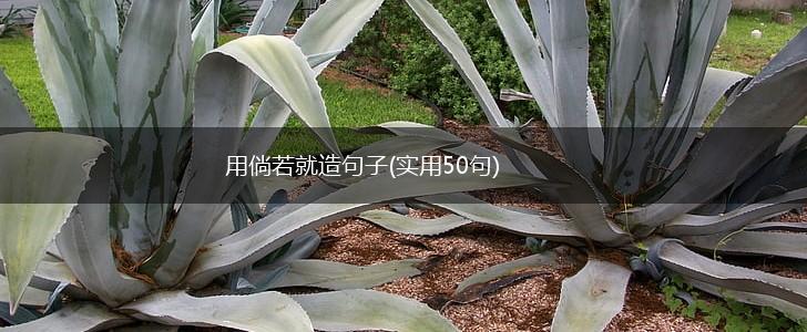用倘若就造句子(实用50句),第1张