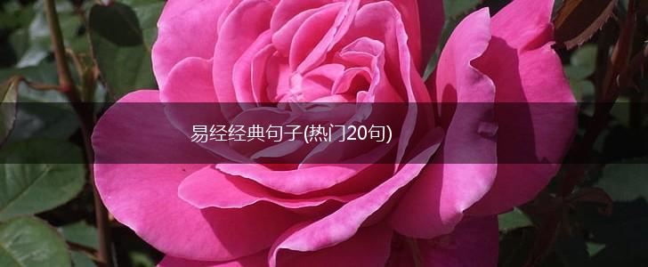 易经经典句子(热门20句),第1张