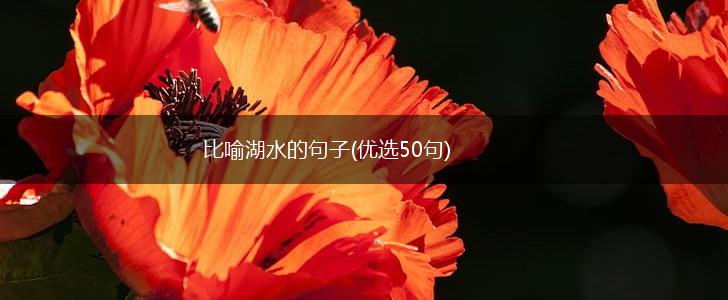 比喻湖水的句子(优选50句),第1张