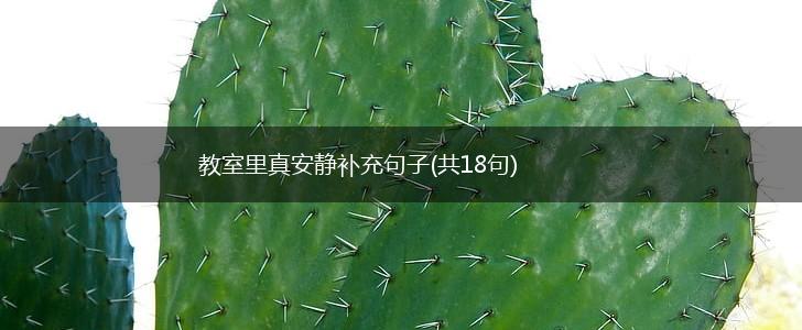 教室里真安静补充句子(共18句),第1张