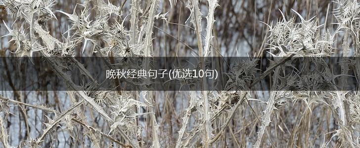 晚秋经典句子(优选10句),第1张