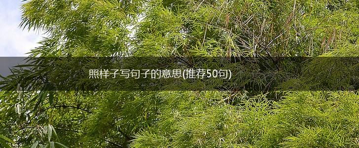 照样子写句子的意思(推荐50句),第1张