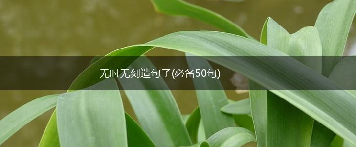 无时无刻造句子(必备50句),第1张
