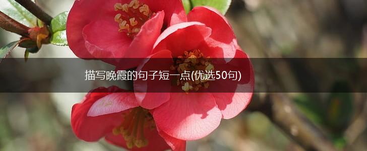 描写晚霞的句子短一点(优选50句),第1张