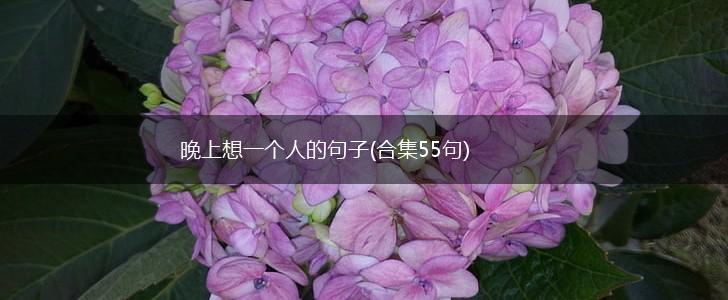 晚上想一个人的句子(合集55句),第1张