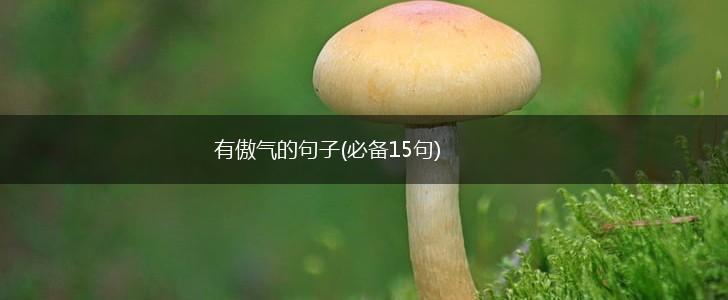 有傲气的句子(必备15句),第1张