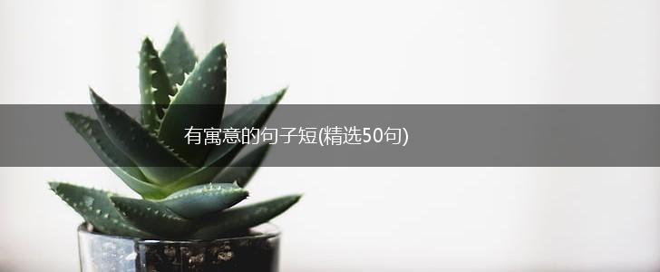 有寓意的句子短(精选50句),第1张