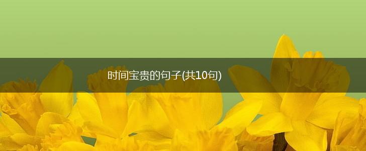 时间宝贵的句子(共10句),第1张