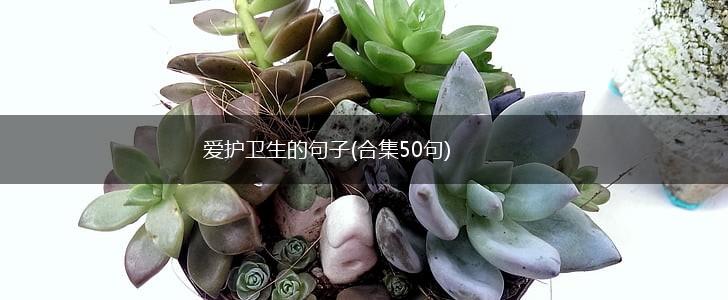 爱护卫生的句子(合集50句),第1张