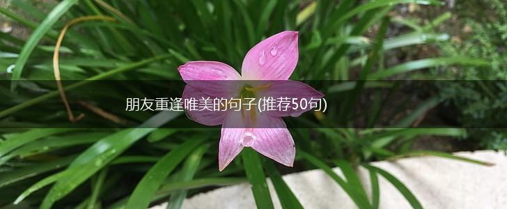 朋友重逢唯美的句子(推荐50句),第1张