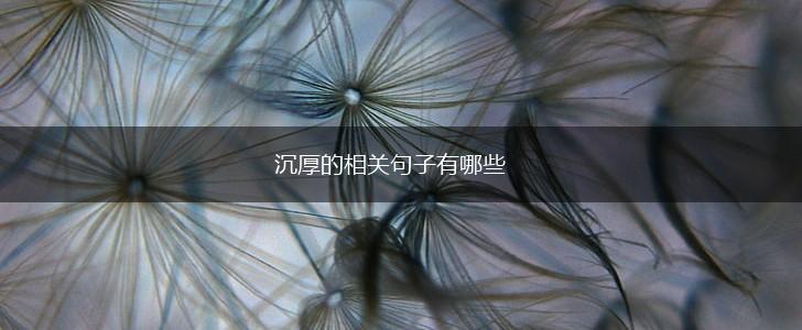 沉厚的相关句子有哪些,第1张