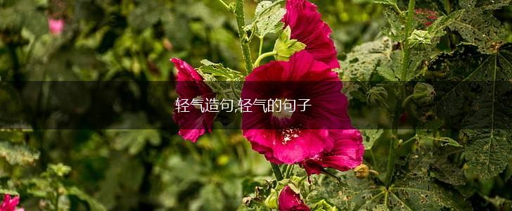 轻气造句,轻气的句子,第1张