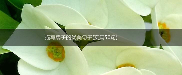 描写扇子的优美句子(实用50句),第1张