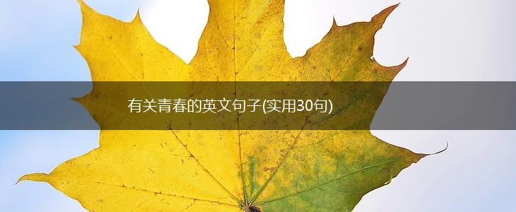 有关青春的英文句子(实用30句),第1张