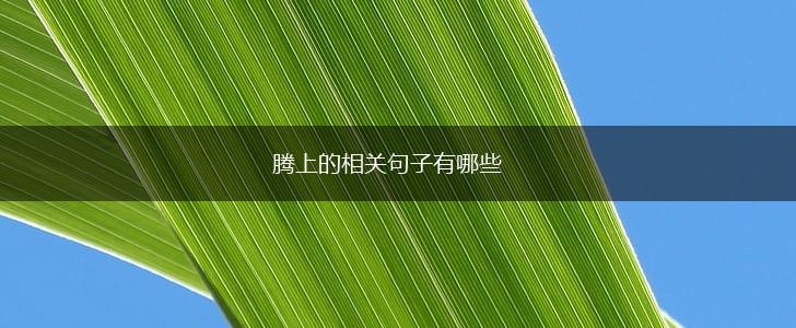 腾上的相关句子有哪些,第1张