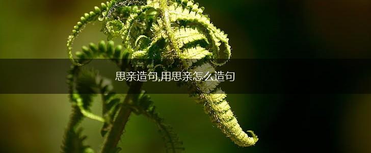 思亲造句,用思亲怎么造句,第1张