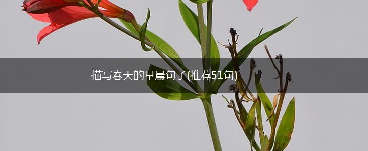 描写春天的早晨句子(推荐51句),第1张