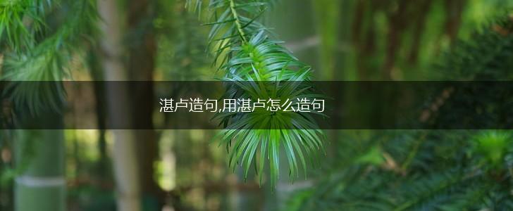 湛卢造句,用湛卢怎么造句,第1张