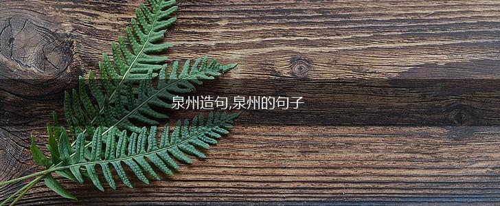 泉州造句,泉州的句子,第1张