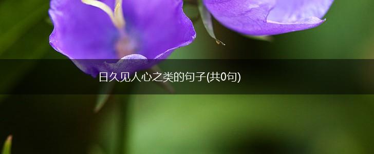 日久见人心之类的句子(共0句),第1张