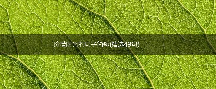 珍惜时光的句子简短(精选49句),第1张