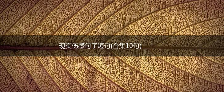 现实伤感句子短句(合集10句),第1张