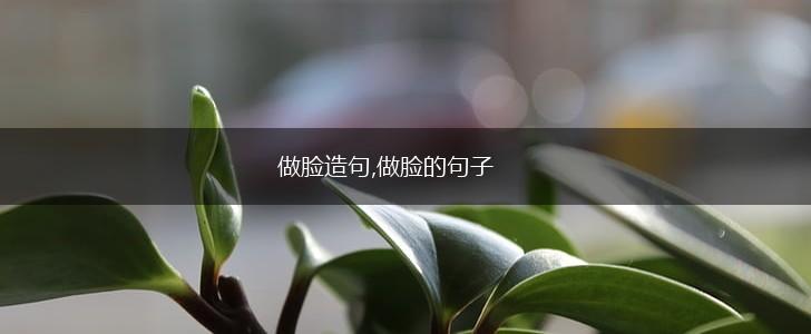 做脸造句,做脸的句子,第1张
