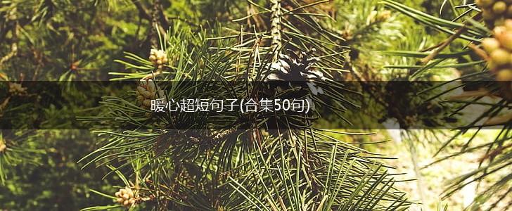 暖心超短句子(合集50句),第1张