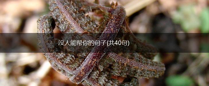 没人能帮你的句子(共40句),第1张
