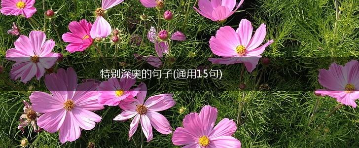 特别深奥的句子(通用15句),第1张