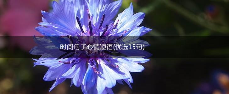 时间句子心情短语(优选15句),第1张