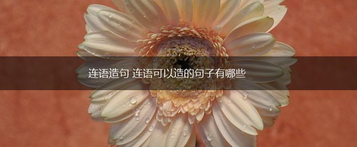 连语造句 连语可以造的句子有哪些,第1张