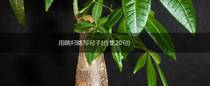 用跳叼跳写句子(合集20句),第1张
