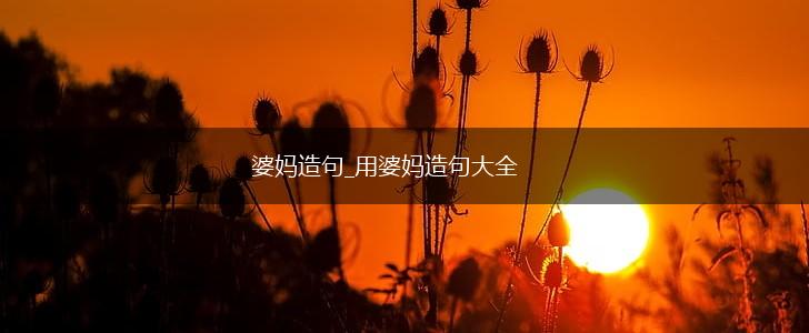婆妈造句_用婆妈造句大全,第1张