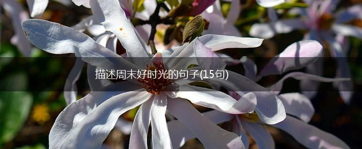 描述周末好时光的句子(15句),第1张