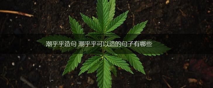 潮乎乎造句 潮乎乎可以造的句子有哪些,第1张
