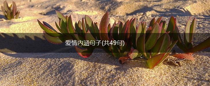 爱情内涵句子(共49句),第1张