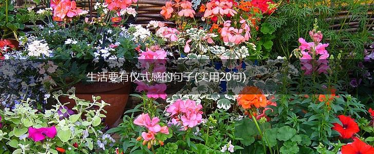 生活要有仪式感的句子(实用20句),第1张