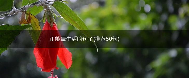 正能量生活的句子(推荐50句),第1张