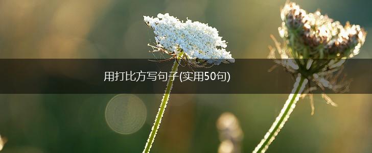 用打比方写句子(实用50句),第1张