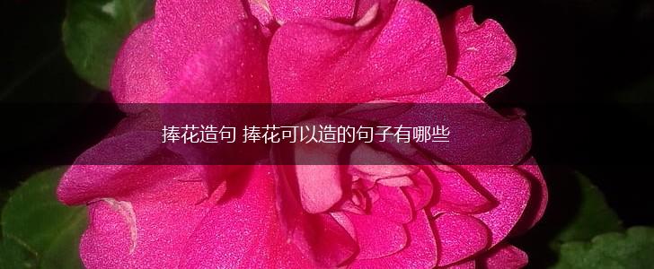 捧花造句 捧花可以造的句子有哪些,第1张