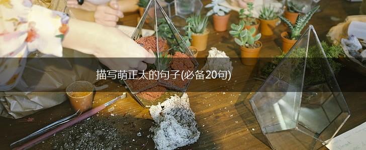 描写萌正太的句子(必备20句),第1张