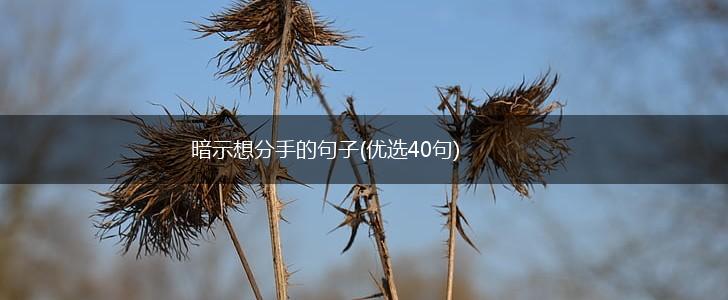 暗示想分手的句子(优选40句),第1张