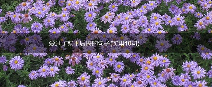 爱过了就不后悔的句子(实用40句),第1张