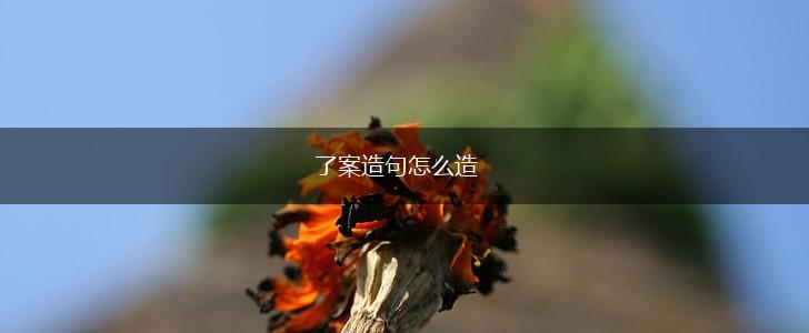 了案造句怎么造,第1张
