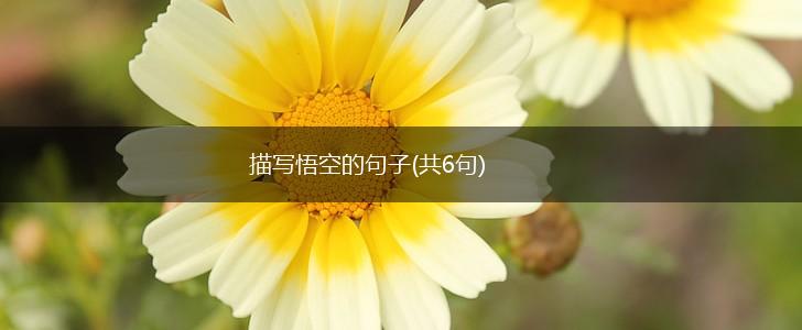 描写悟空的句子(共6句),第1张