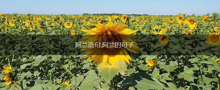 阿兰造句,阿兰的句子,第1张